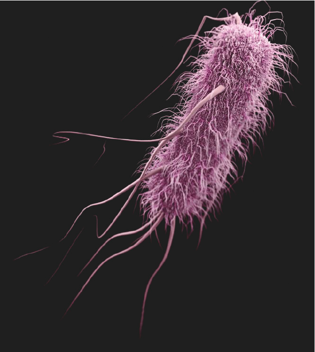pathogeno